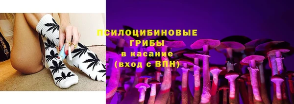 шишки Пролетарск