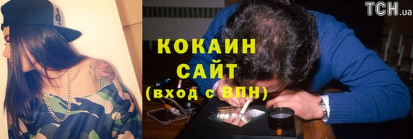 крисы Покачи